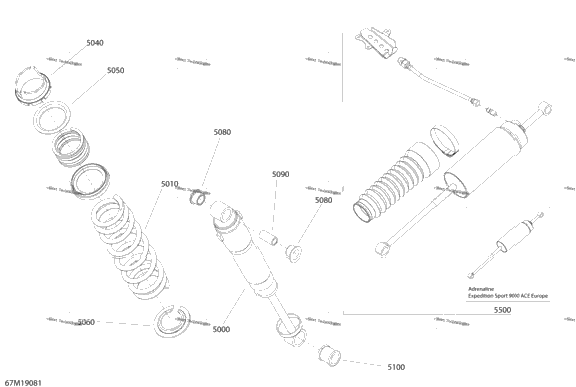 Suspension, Rear - Shocks - Sport