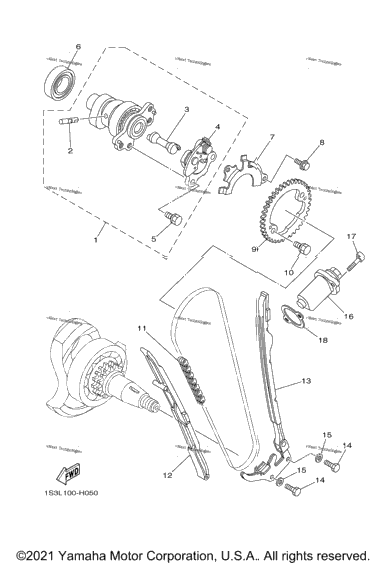 Camshaft Chain