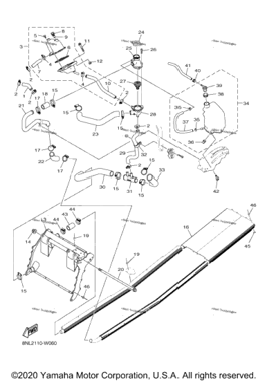 Radiator & Hose