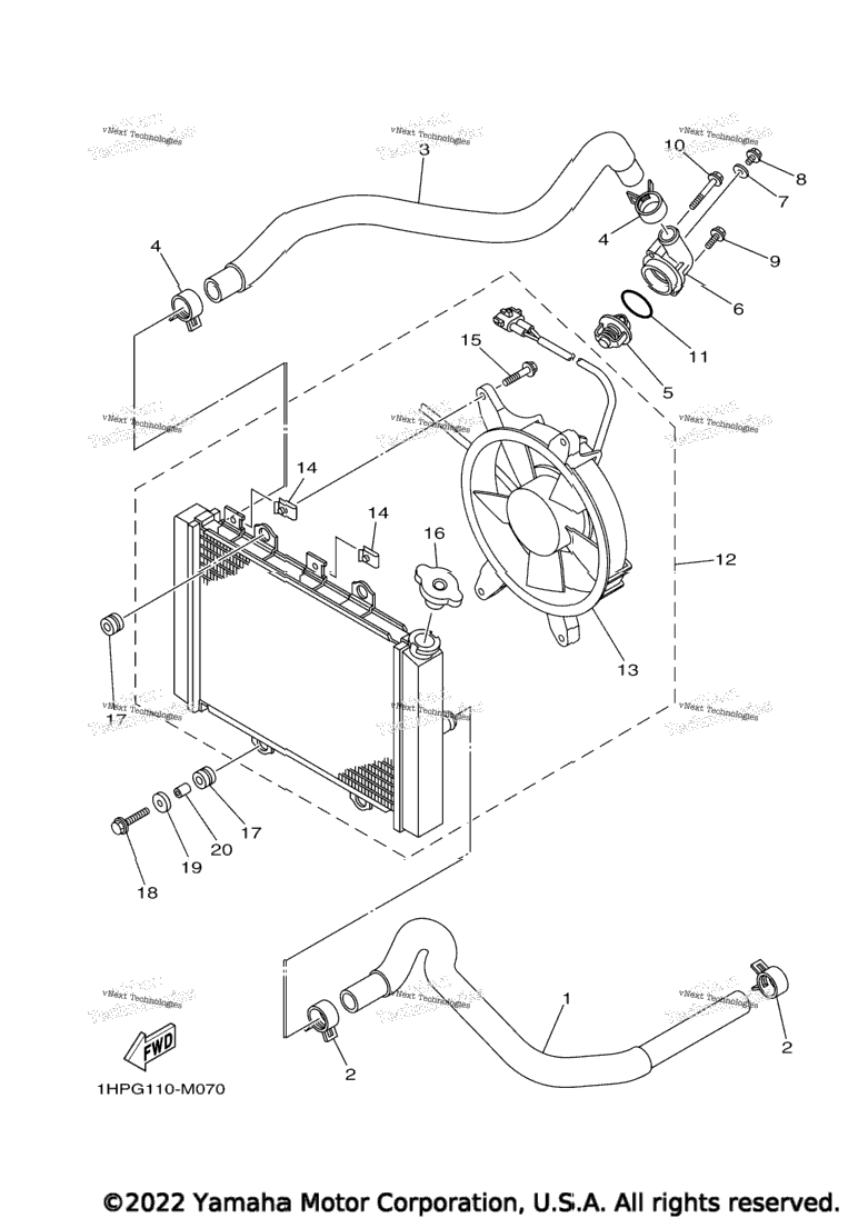 Radiator & Hose