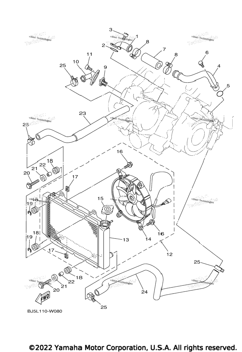 Radiator & Hose