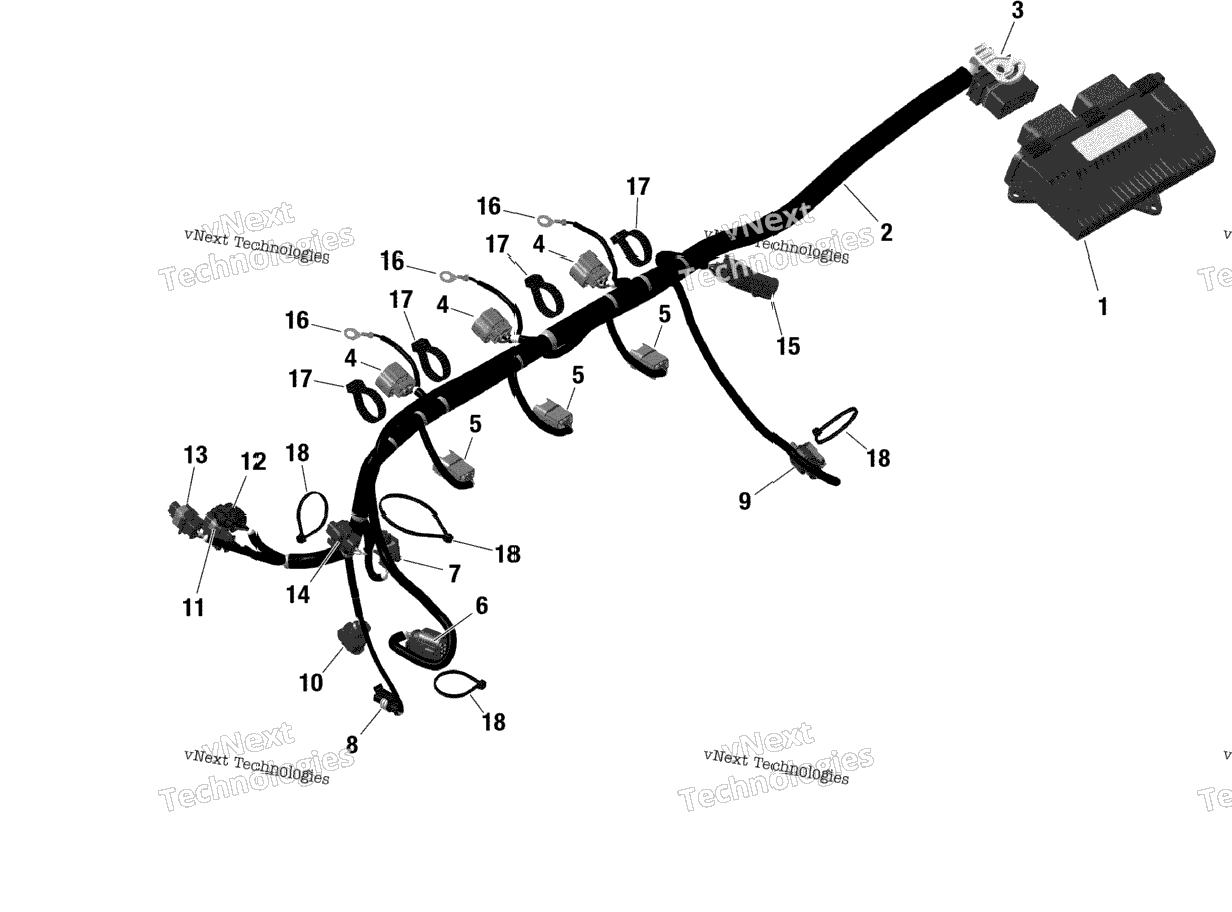 Rotax - Engine Harness And Electronic Module