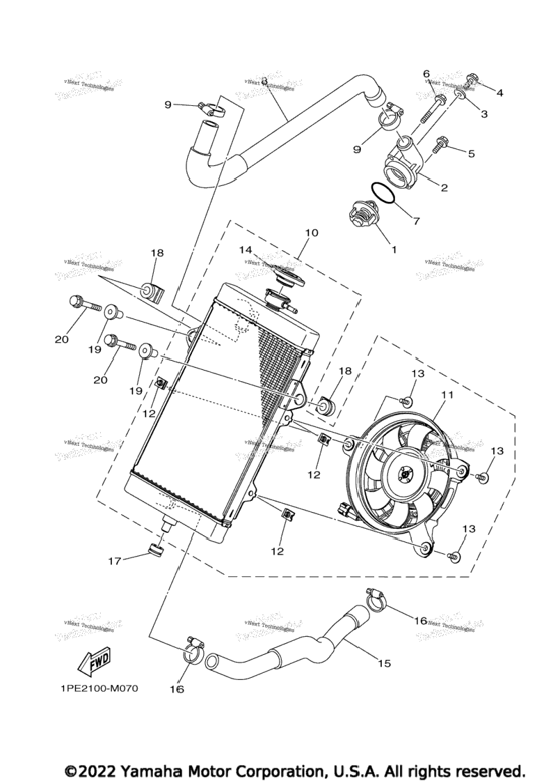 Radiator & Hose