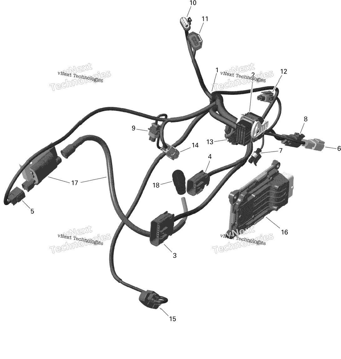 Rotax - Engine Harness And Electronic Module - 1