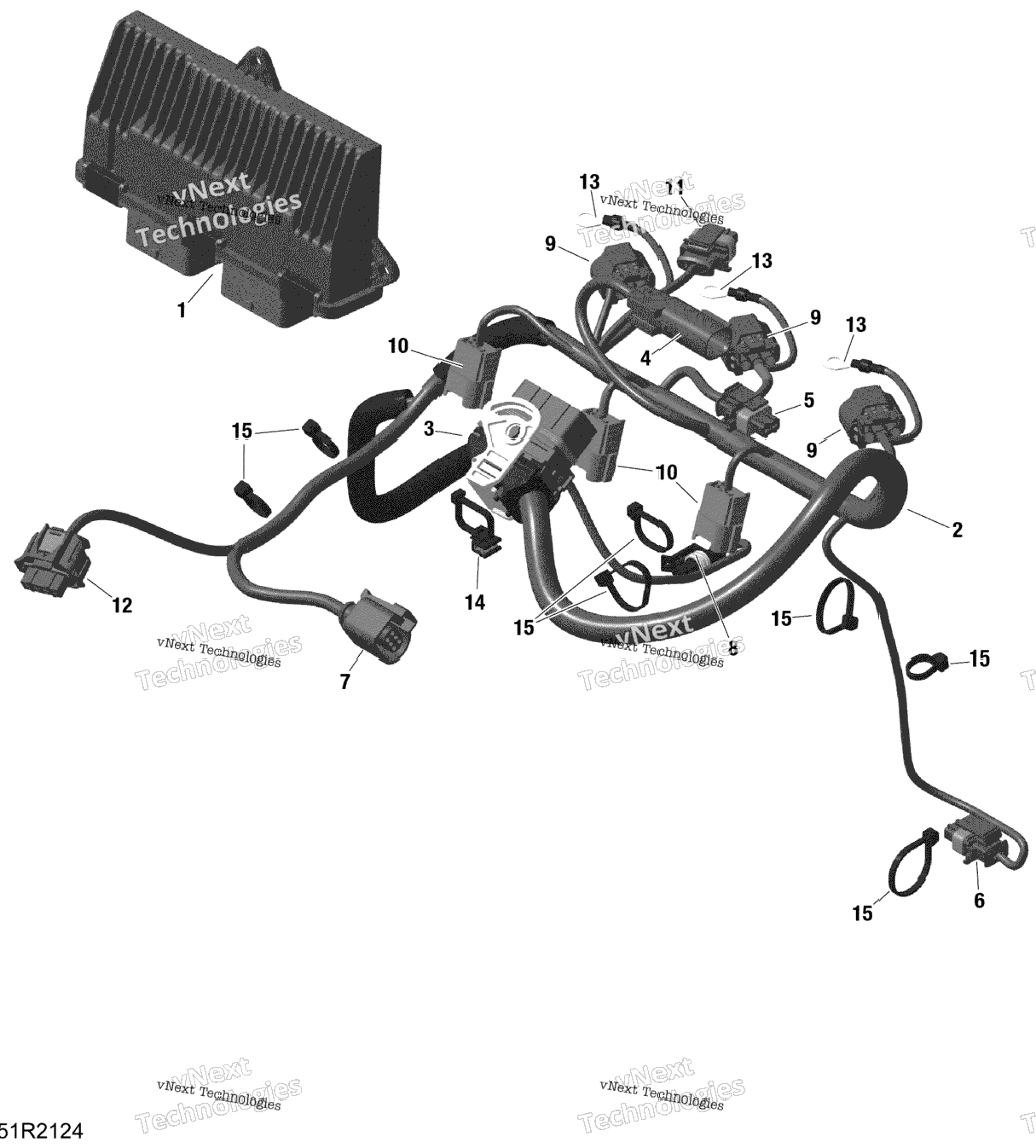 Rotax - Engine Harness And Electronic Module