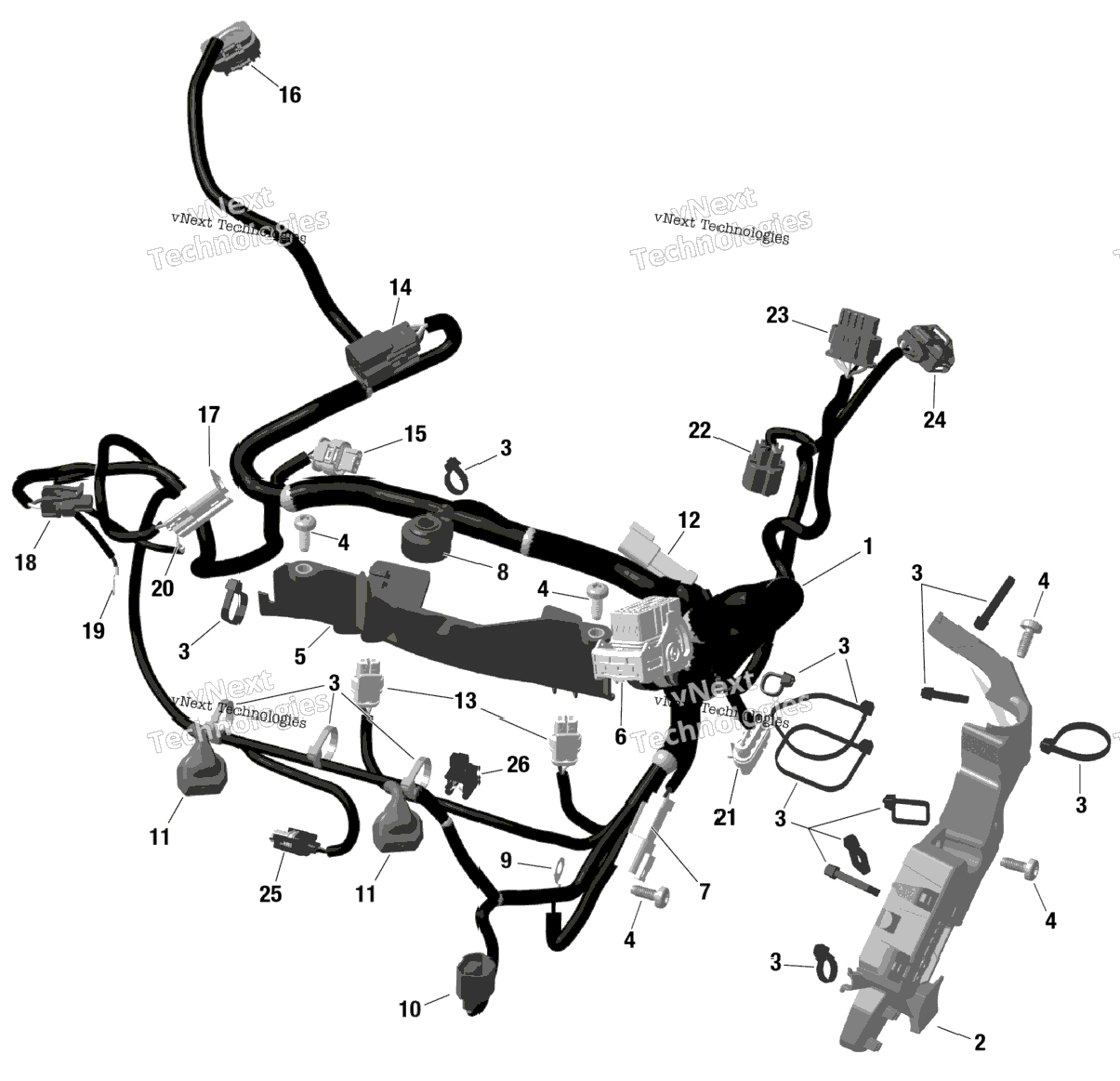 Rotax - Engine Harness And Electronic Module