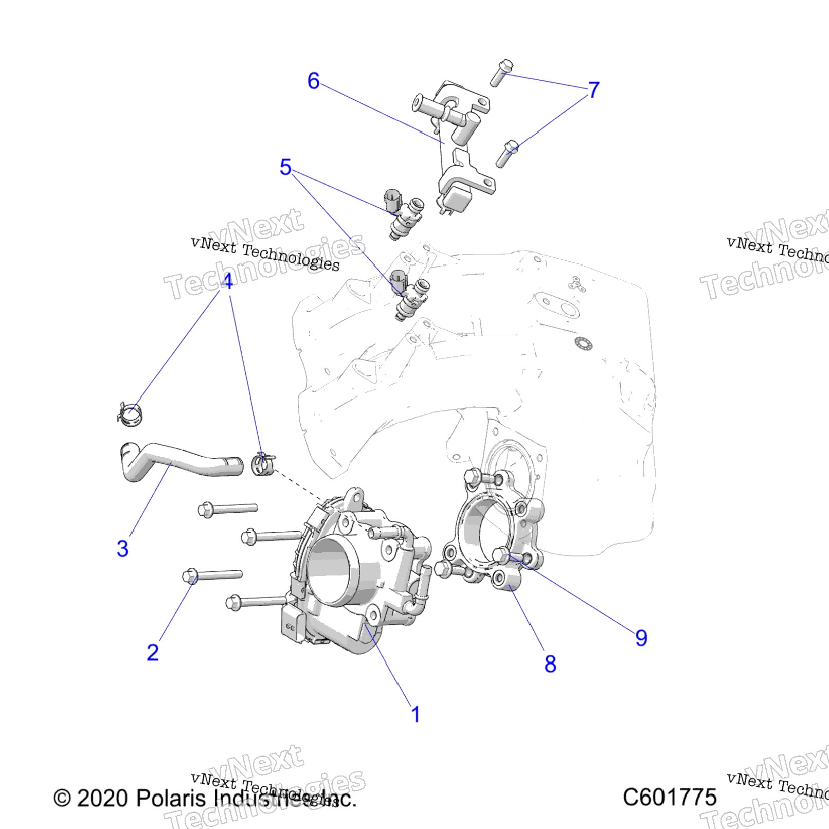 Fuel System, Throttle BodyFuel Rail