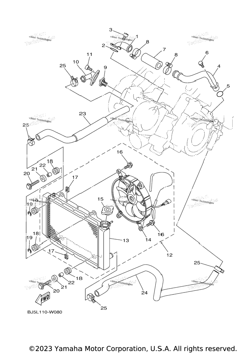 Radiator & Hose