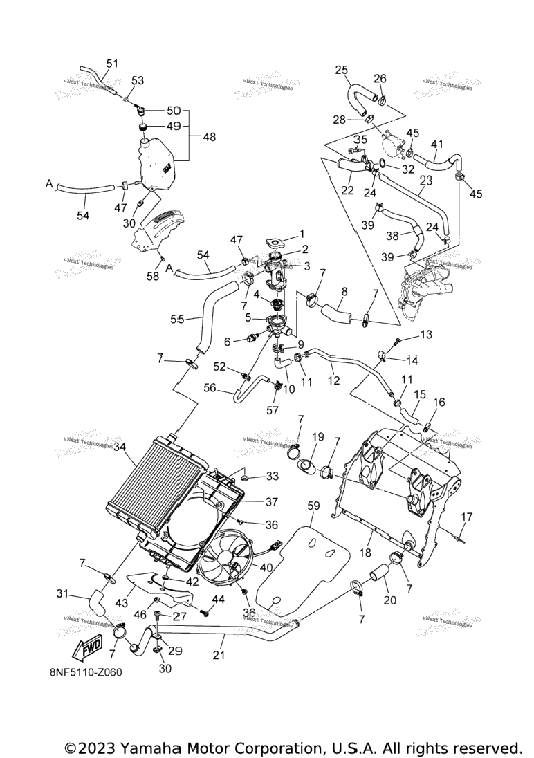 Radiator & Hose