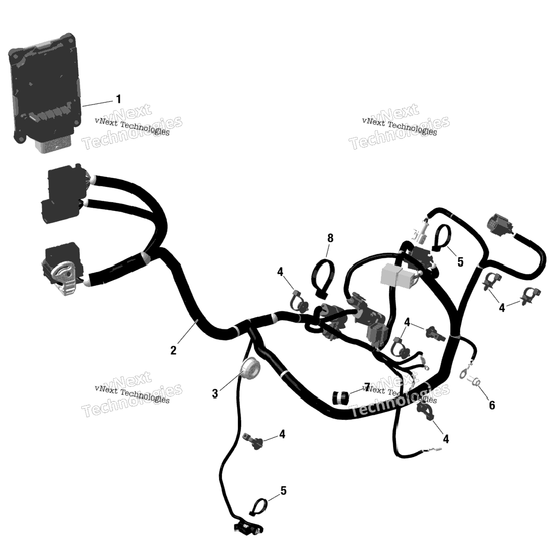 Rotax - Engine Harness And Electronic Module