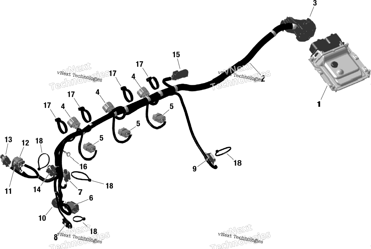 Rotax - Engine Harness And Electronic Module