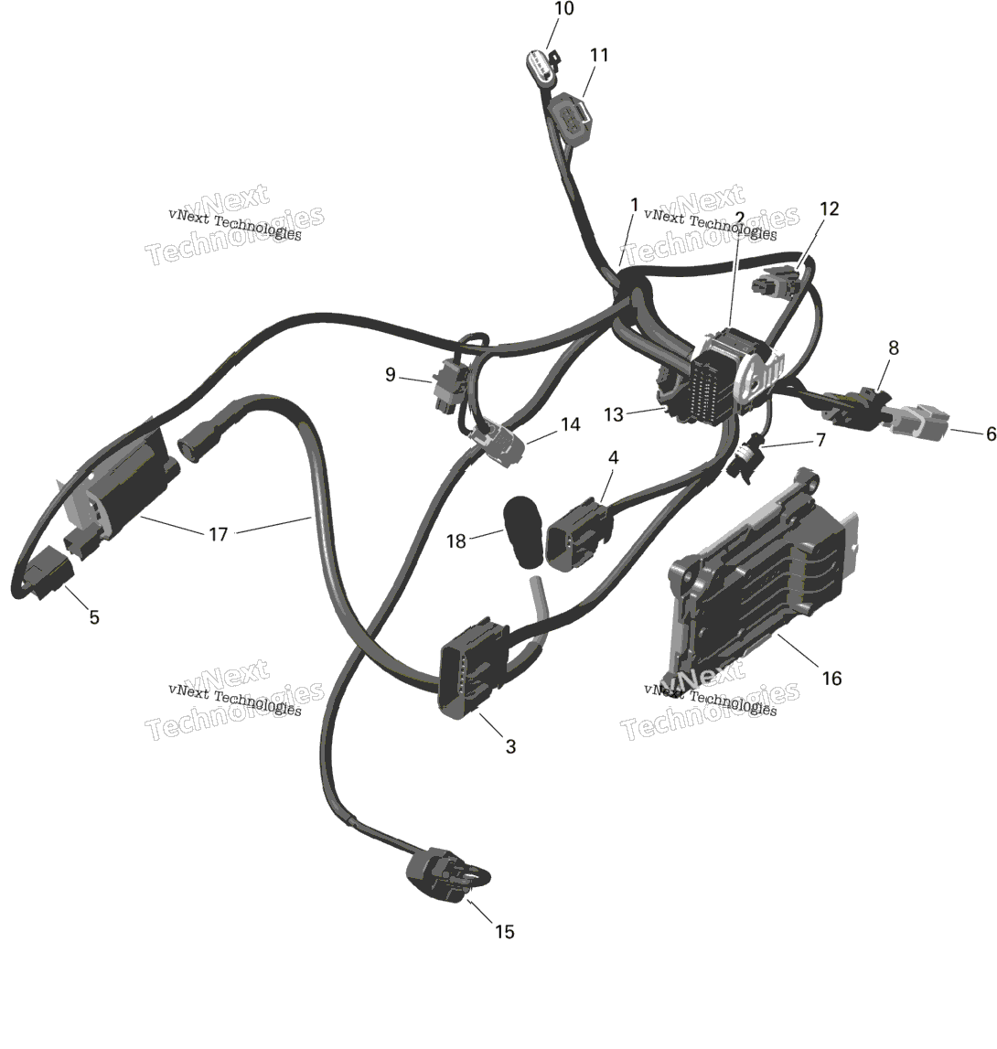 Rotax - Engine Harness And Electronic Module