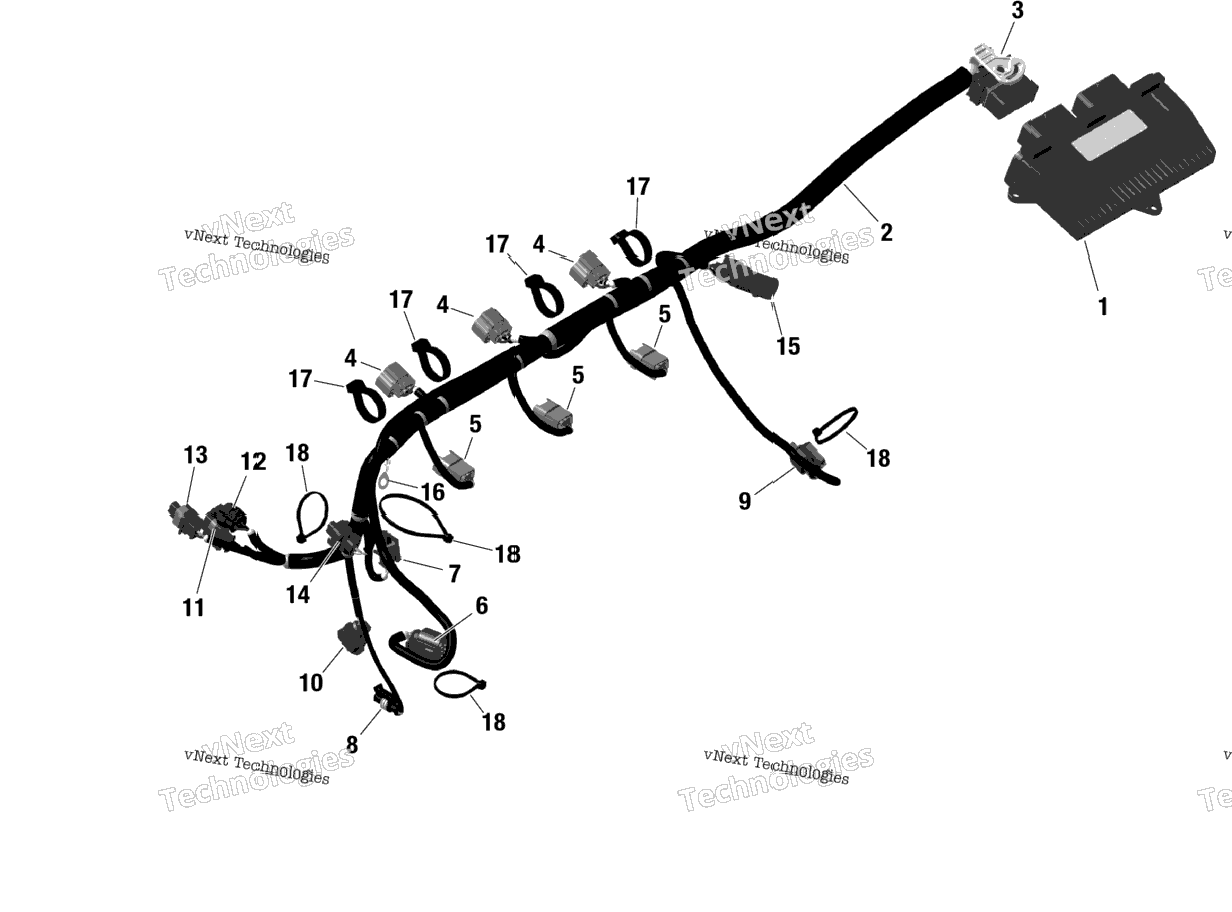 Rotax - Engine Harness And Electronic Module