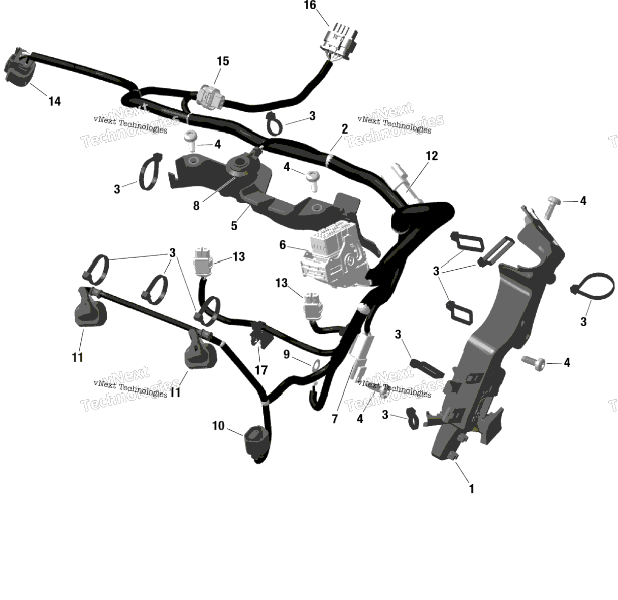 Rotax - Engine Harness And Electronic Module