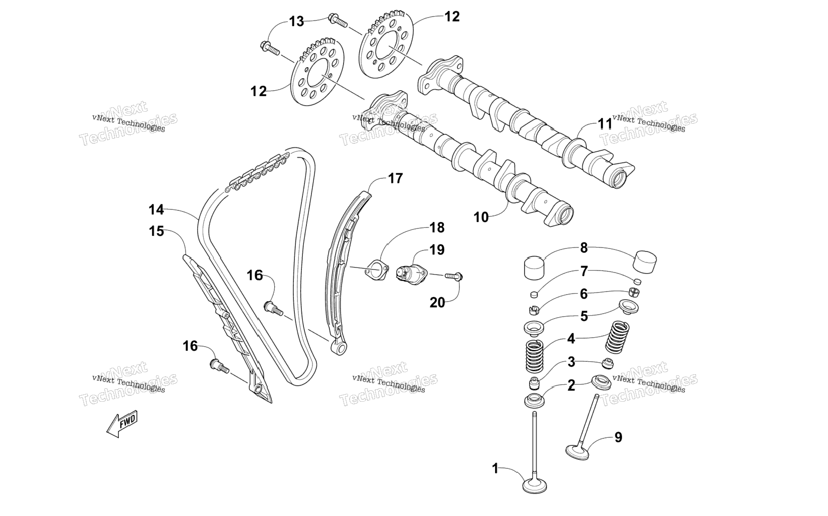 Camshaft, Chain, And Valve Assembly