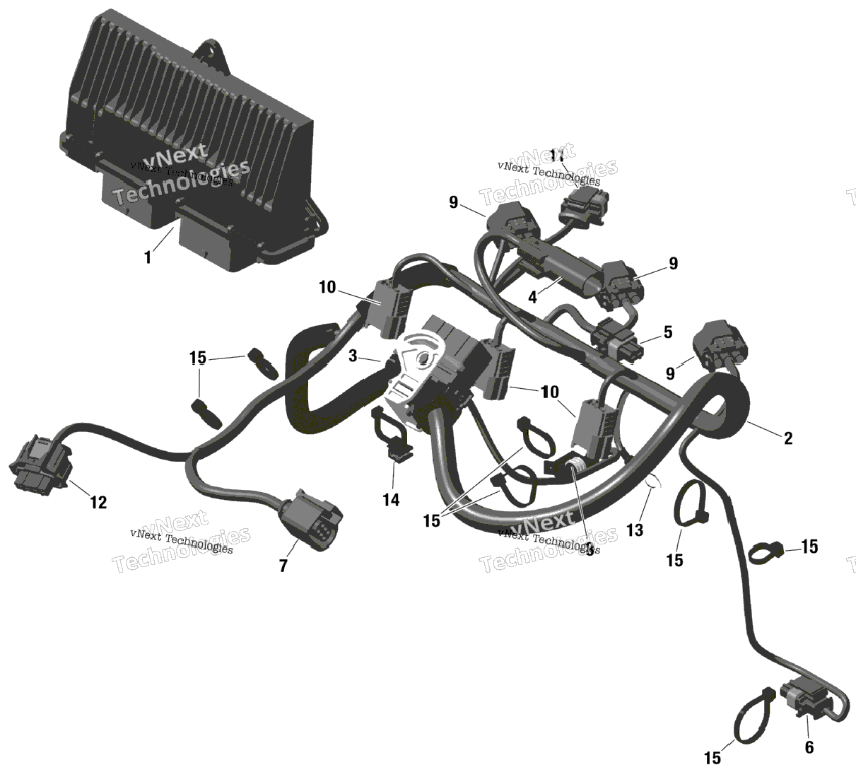 Rotax - Engine Harness And Electronic Module