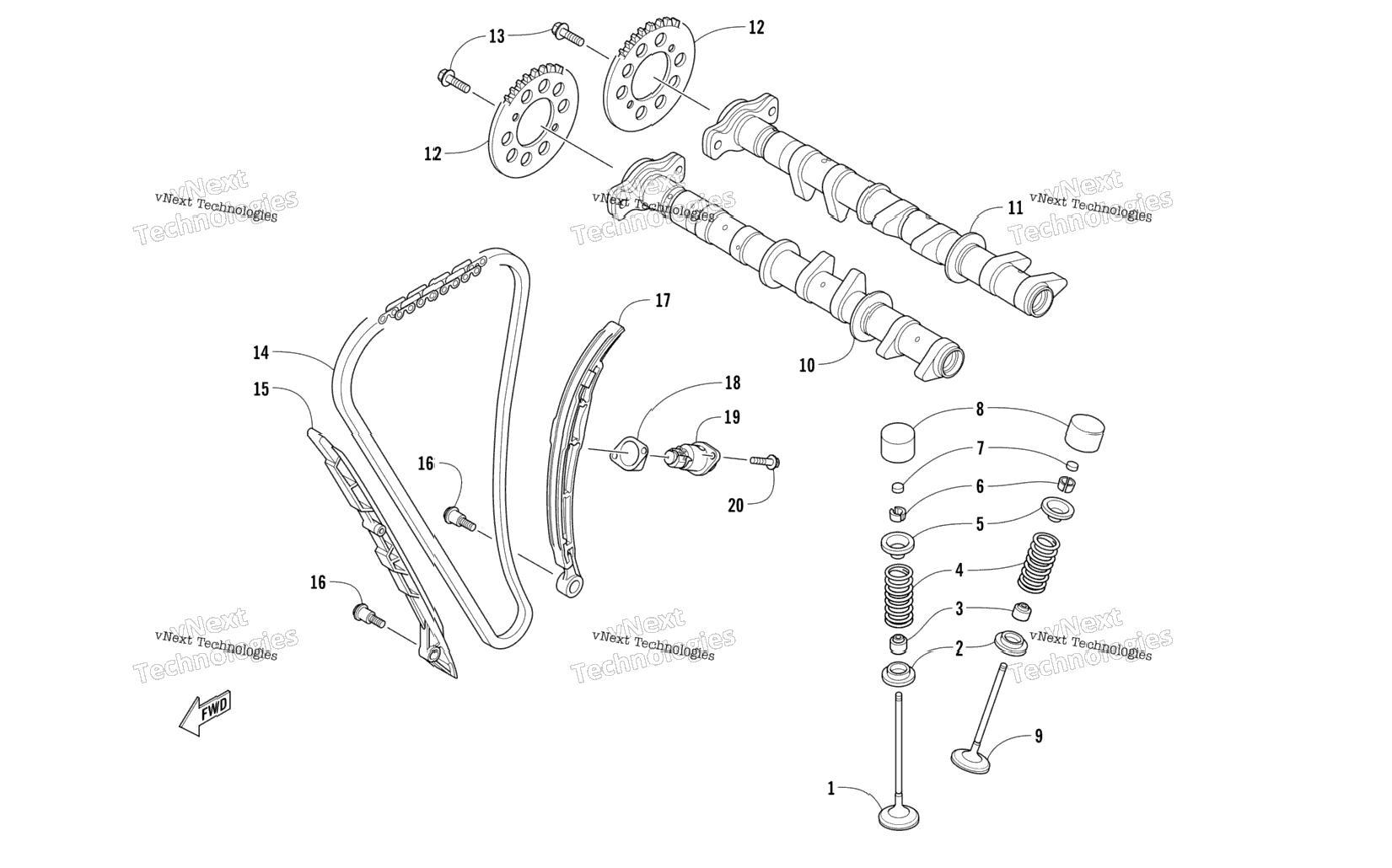 Camshaft, Chain, And Valve Assembly