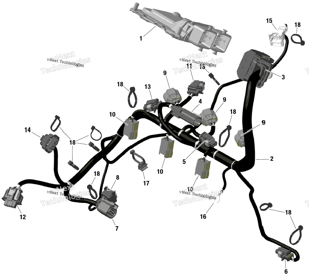 Rotax - Engine Harness And Electronic Module