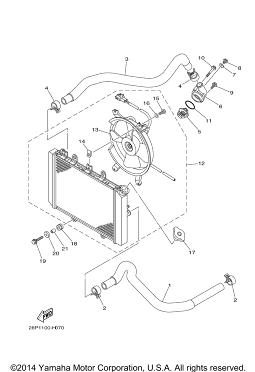 Radiator Hose