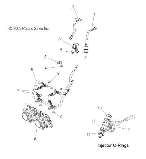 Fuel System, Rail, Lines & Throttle Body