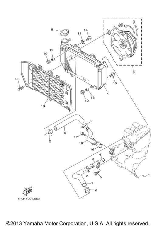 Radiator Hose