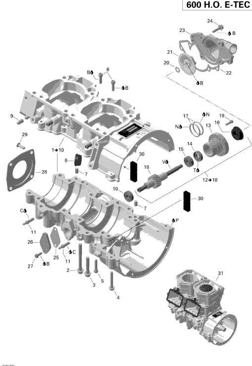 Crankcase And Water Pump