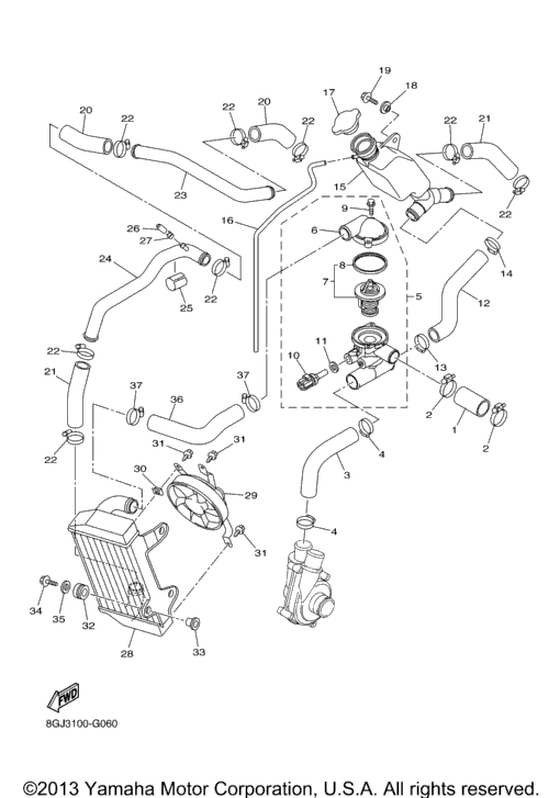 Radiator Hose