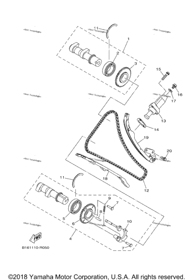 Camshaft Chain