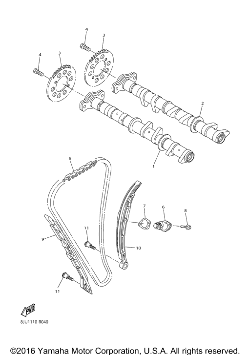 Camshaft Chain