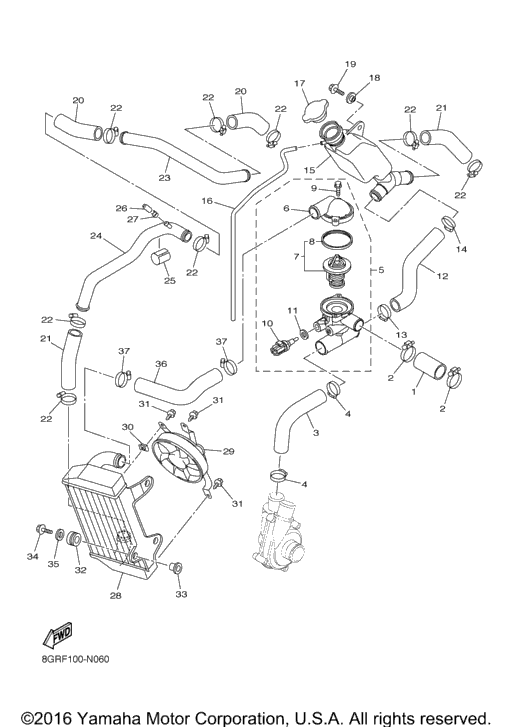 Radiator Hose