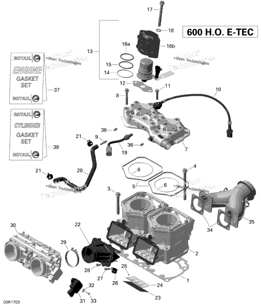 Cylinder and Injection System - 600HO E-TEC