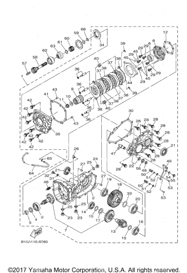 Drive Shaft