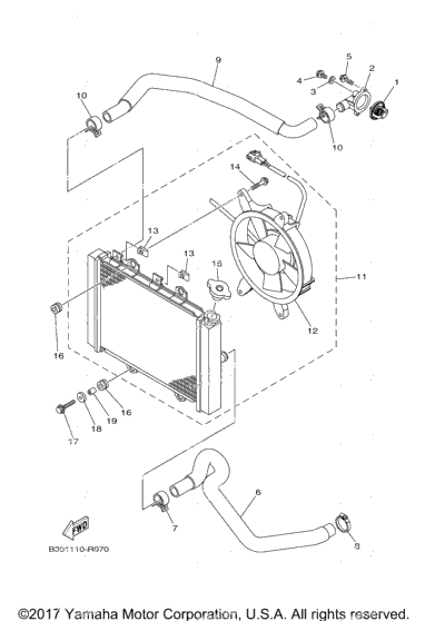 Radiator Hose